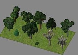 kd5rax - Forest Props-012